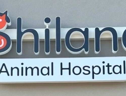 Yet Another Channel Letter Sign!